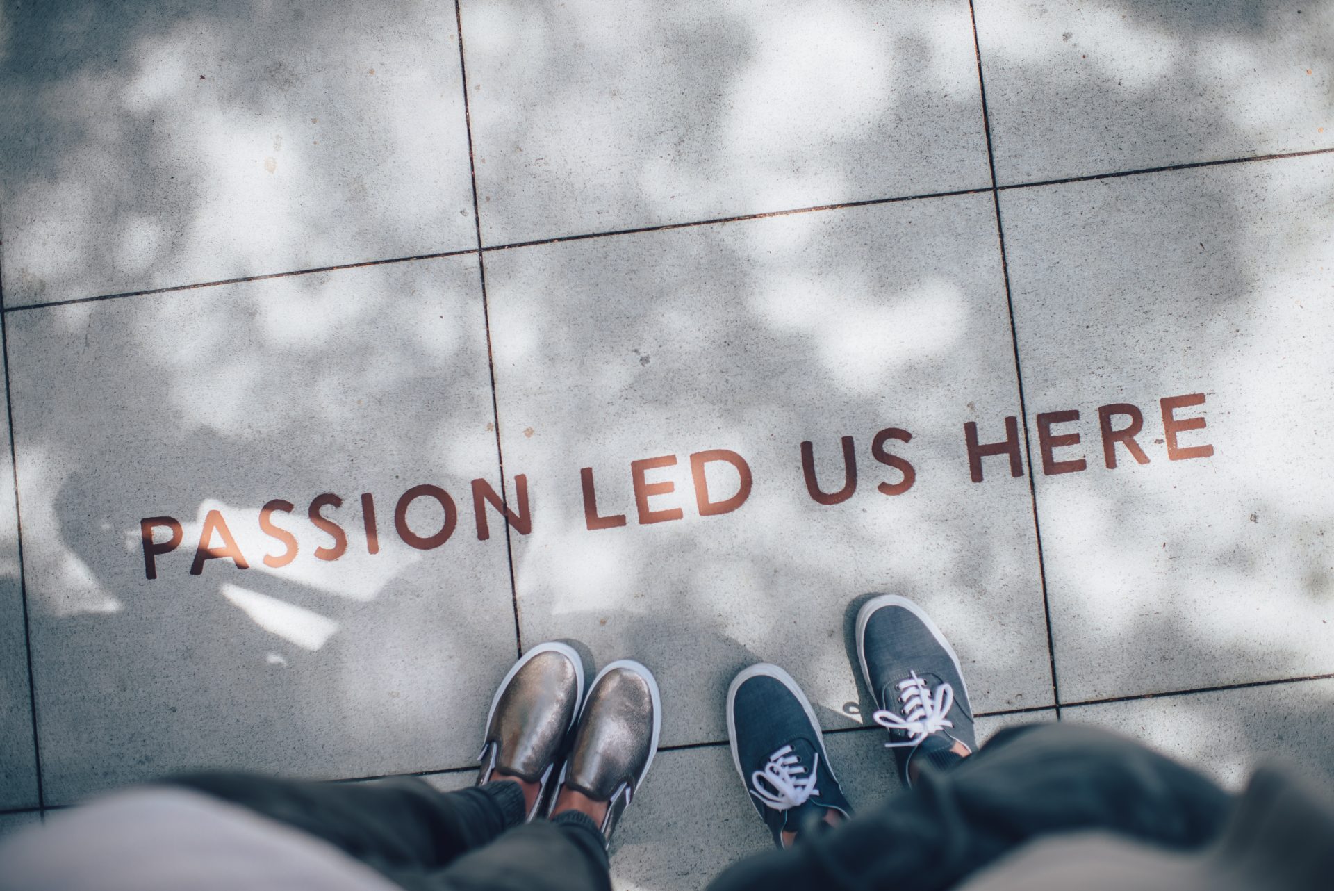ian-schneider-TamMbr4okv4-unsplash Passion Led Us Here